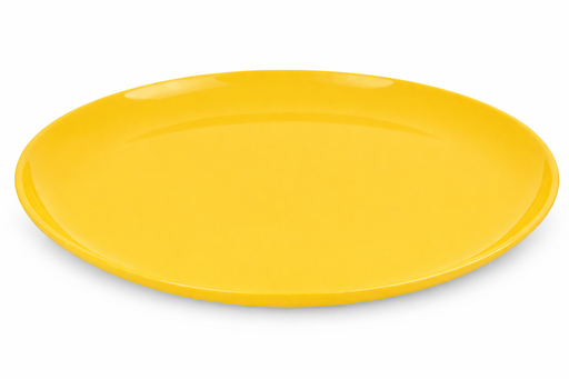 Round Serving Plate (2 Pack) - Mintra USA
