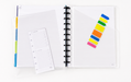 Talia Discbound Dividers - Mintra USA