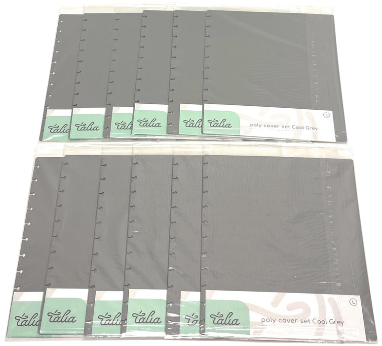 Talia Discbound Notebook - Cover and Disc Sets - Mintra USA