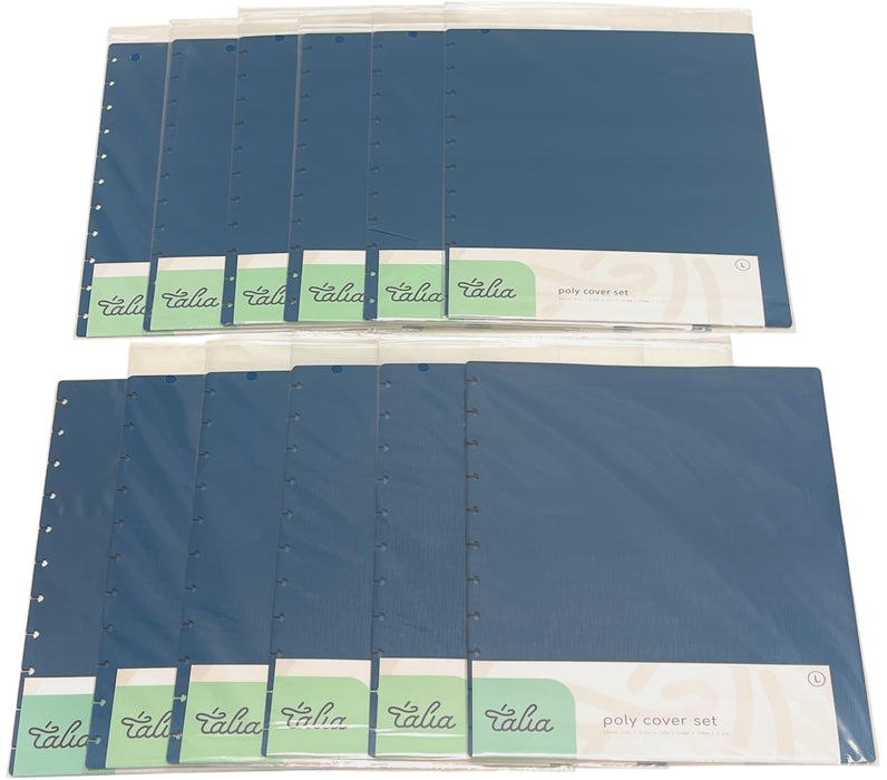 Talia Discbound Notebook - Cover and Disc Sets - Mintra USA