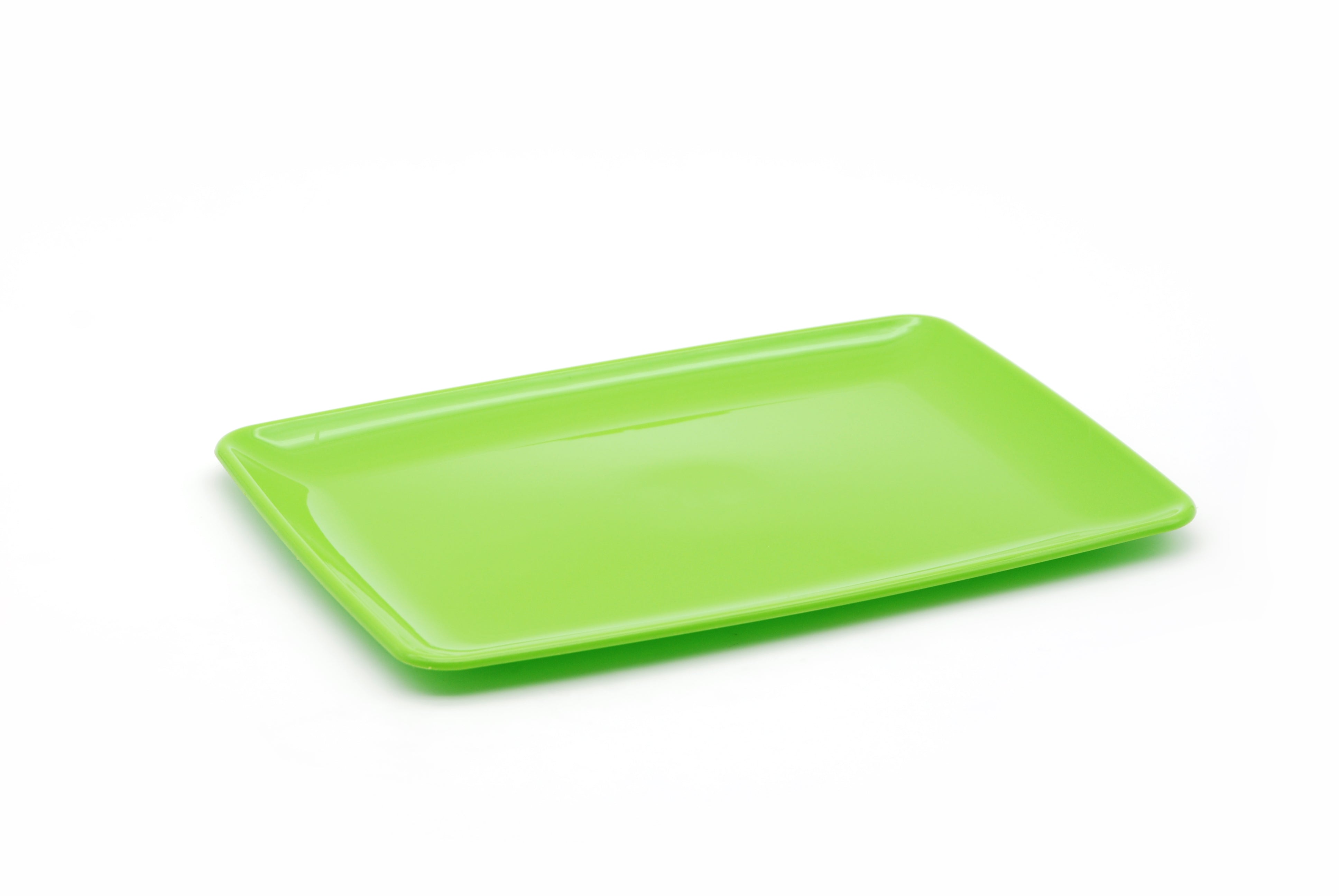 Rectangular Serving Plate- Serveware — Mintra USA