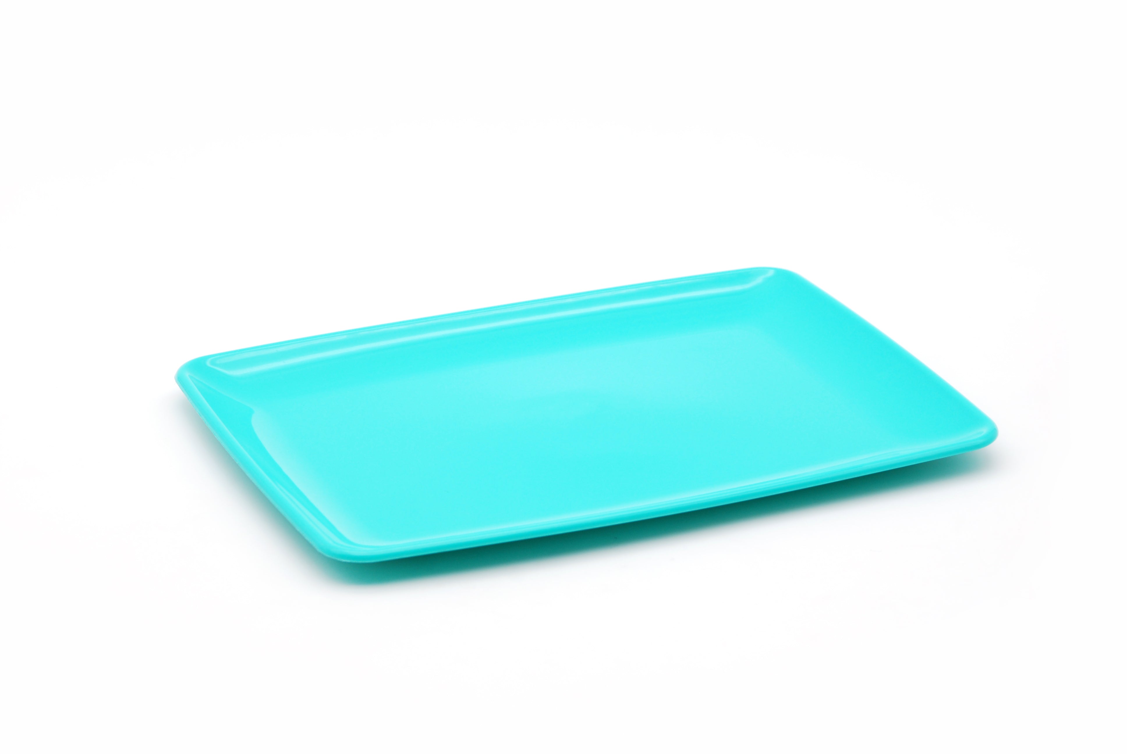 Rectangular Serving Plate- Serveware — Mintra USA